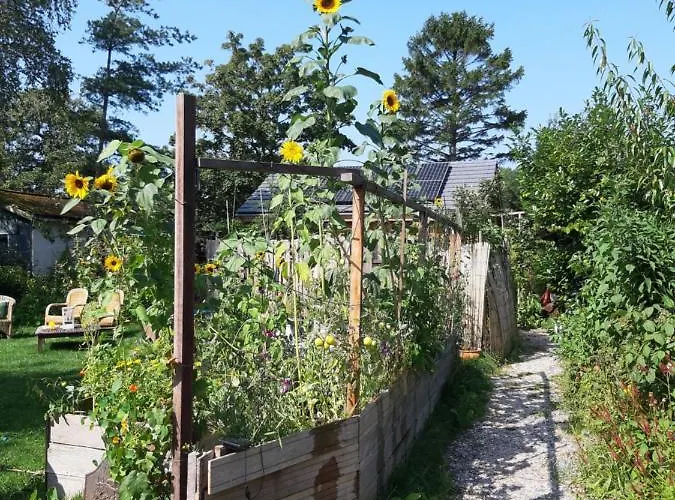 De Parel Chalet Schoorl